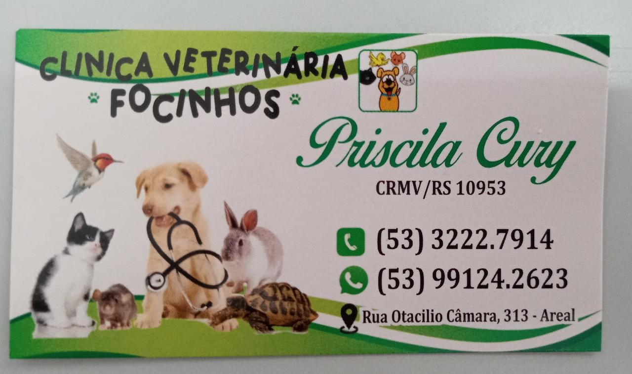 Clínica Veterinária Focinhos 