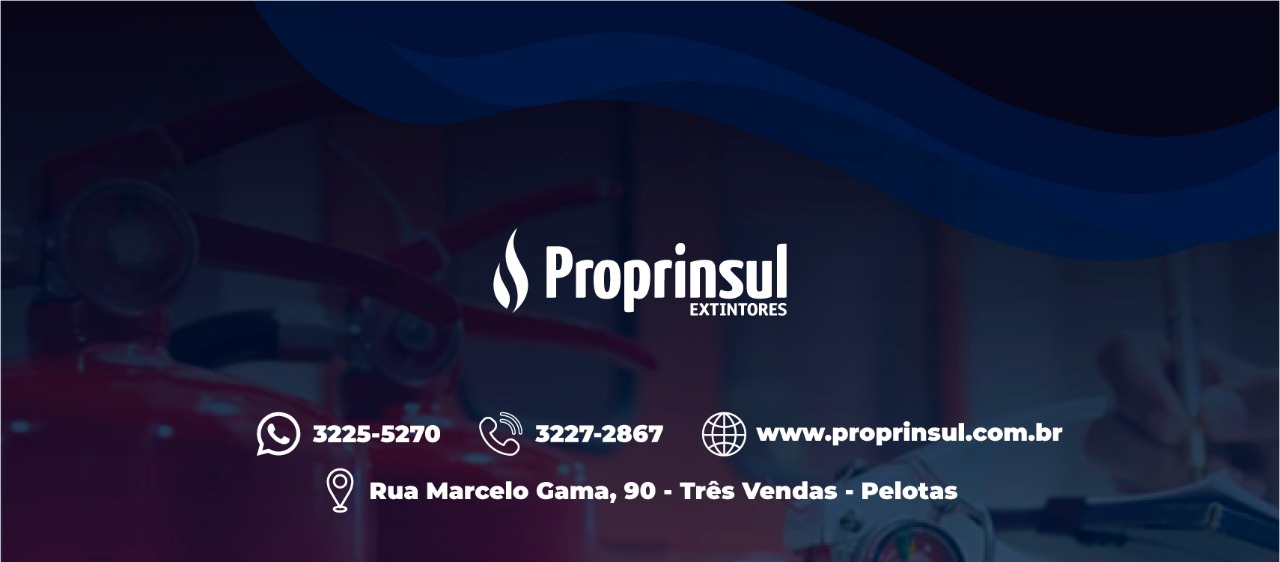 Proprinsul 